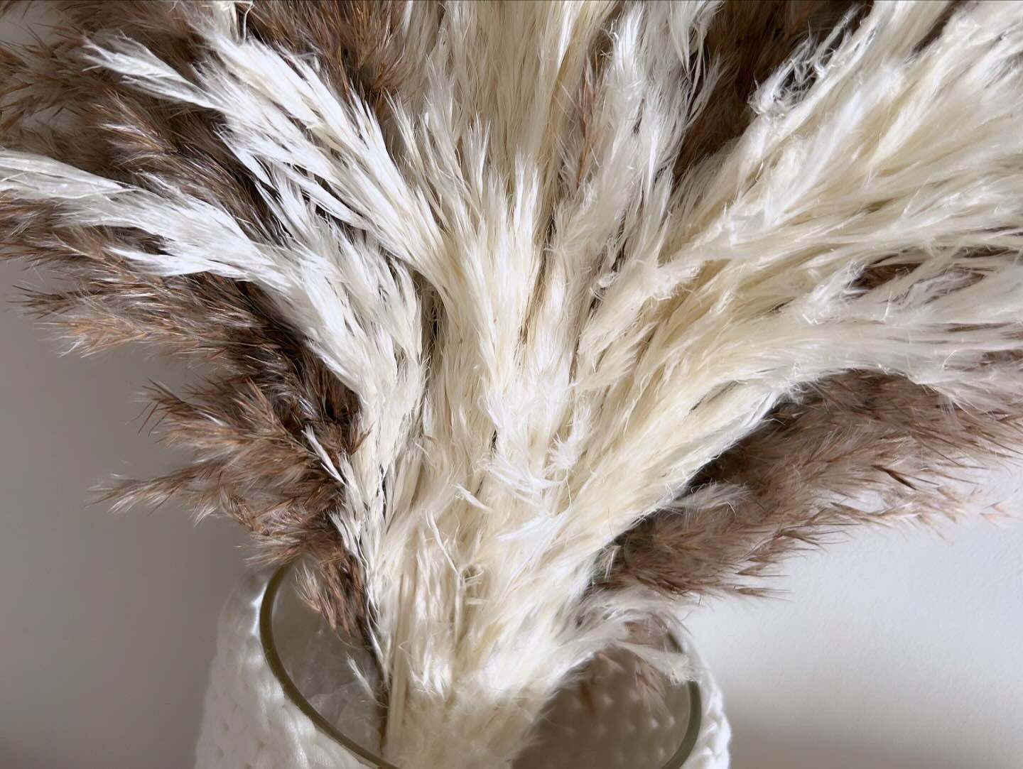 Crochet Vase | 1 Litre